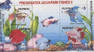 fish-philippines1993-ovpt-2ssl.jpg
